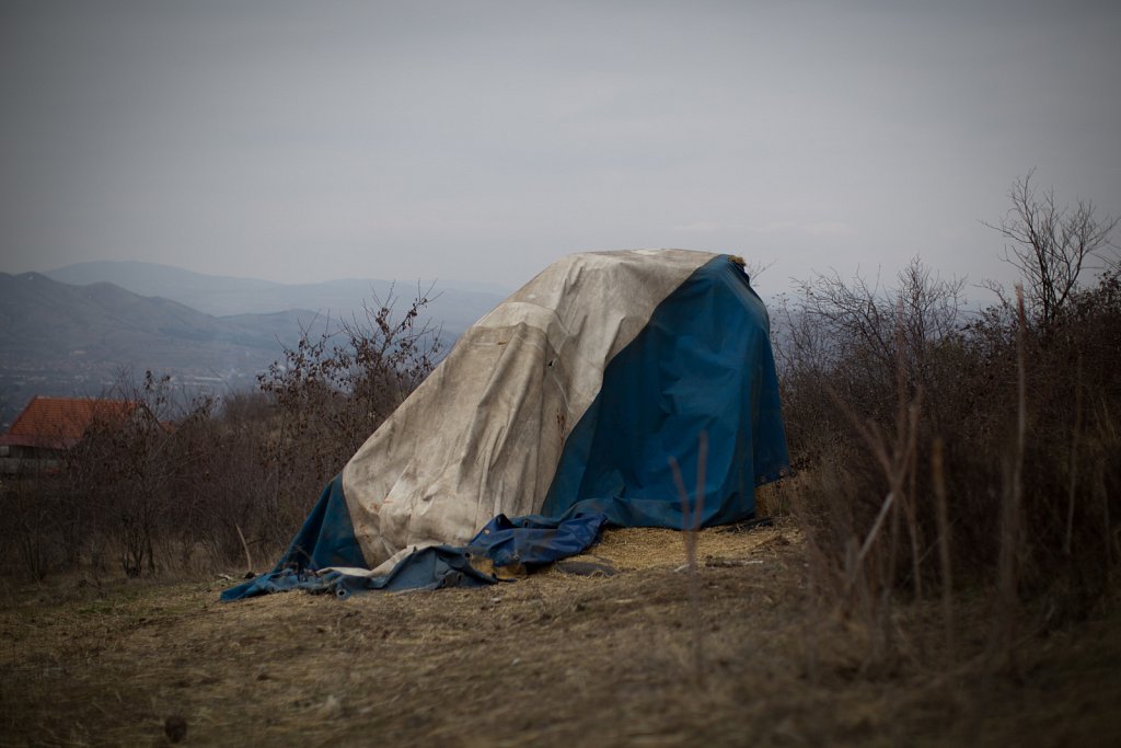 Covered Hay, Veles