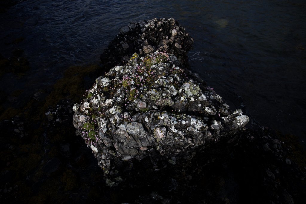 Rock, Kerrera