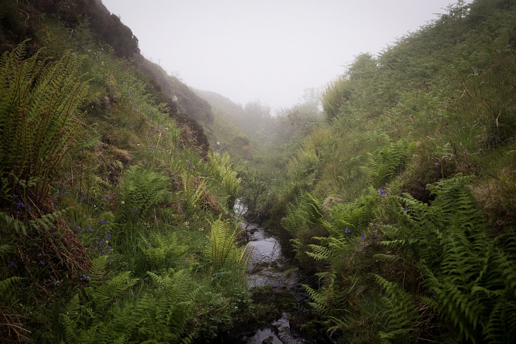 Misty Burn, Kerrera