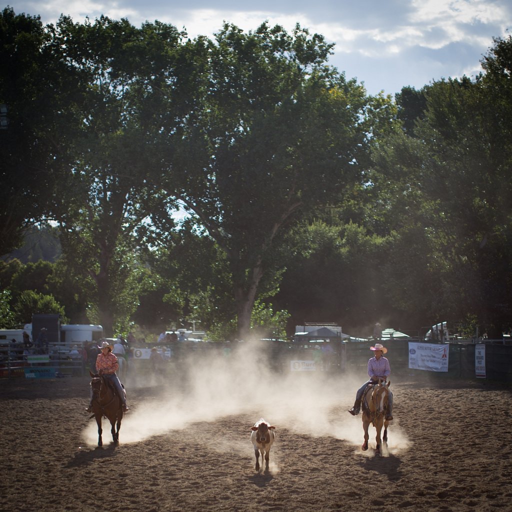 Cooma Rodeo, Australia