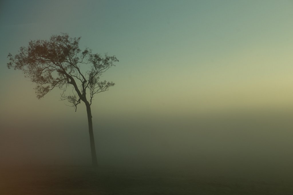 From The Morning Train Brisbane