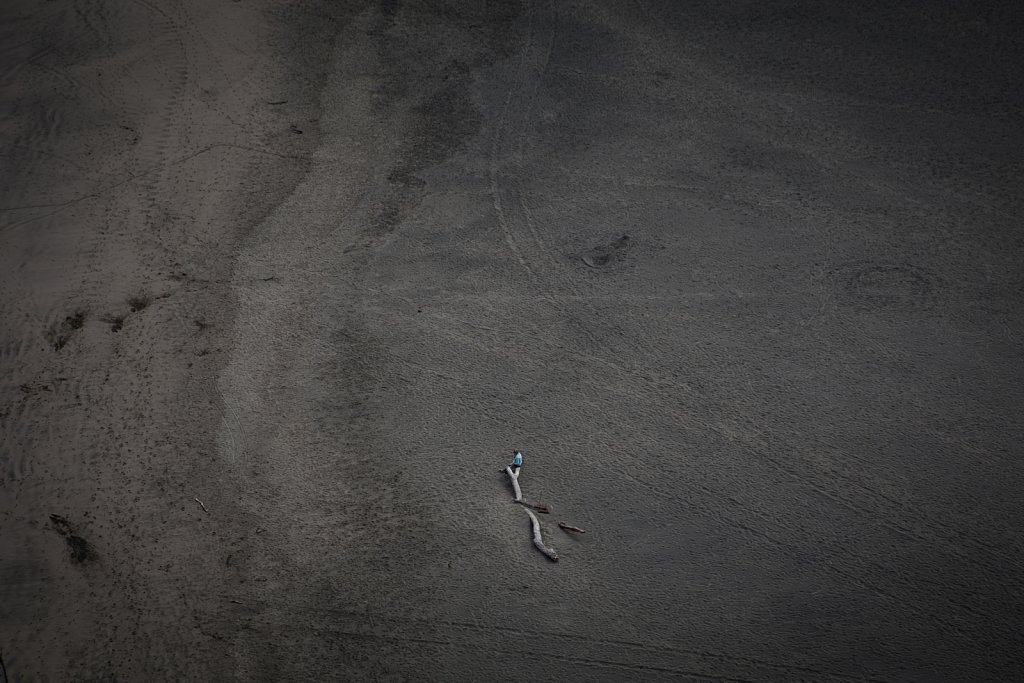 Piha, New Zealand